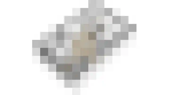 Schrikspad 13 Udenhout thumbnail 54