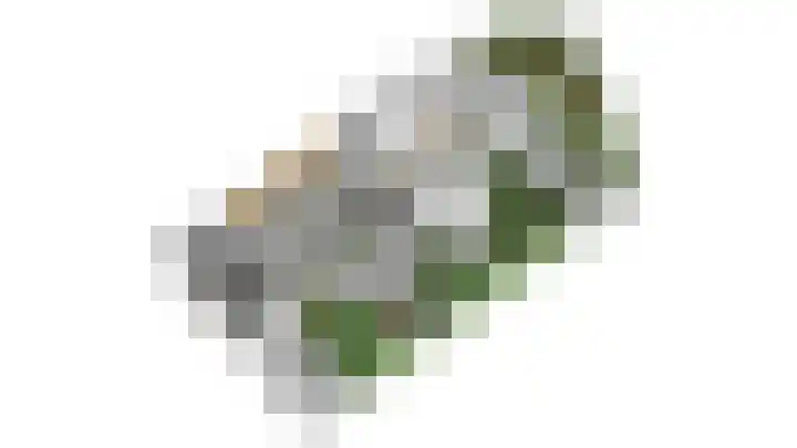 Schrikspad 13 Udenhout thumbnail 65