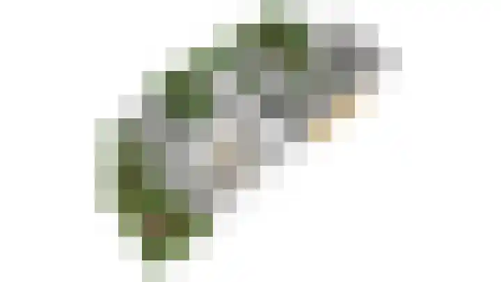Schrikspad 13 Udenhout thumbnail 66
