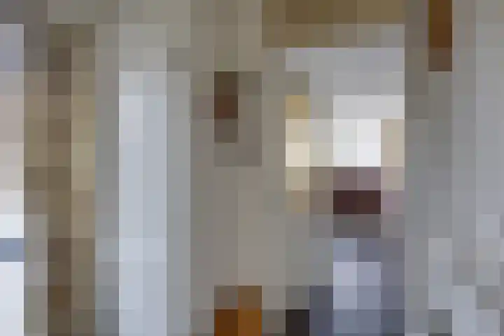 Schrikspad 13 Udenhout thumbnail 7