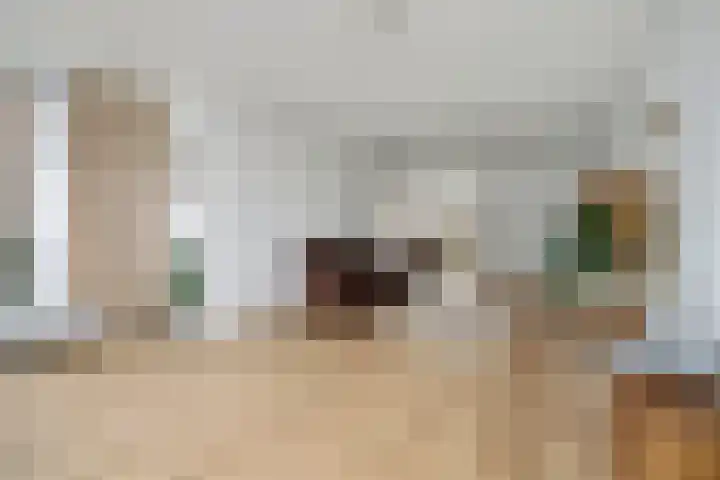 Schrikspad 9 Udenhout thumbnail 12