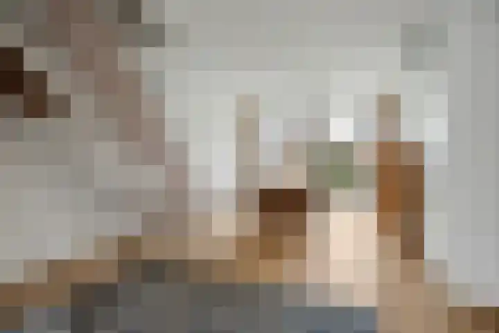 Schrikspad 9 Udenhout thumbnail 14