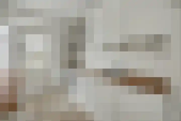 Schrikspad 9 Udenhout thumbnail 19