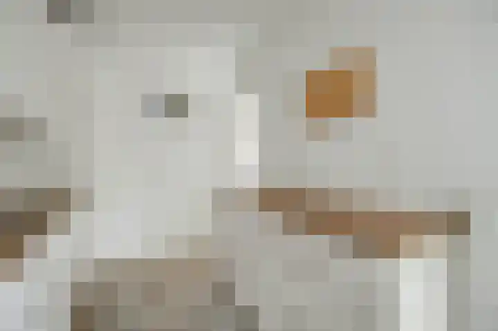 Schrikspad 9 Udenhout thumbnail 20