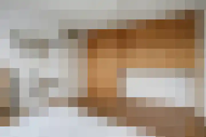 Schrikspad 9 Udenhout thumbnail 30