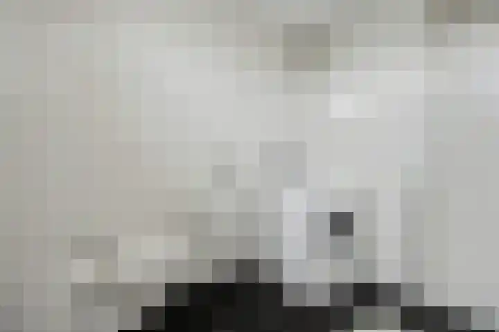 Schrikspad 9 Udenhout thumbnail 32