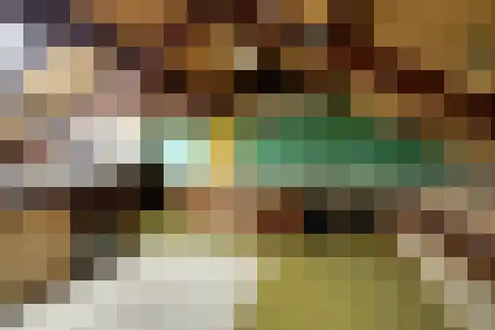 Schrikspad 9 Udenhout thumbnail 34