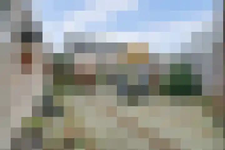Schrikspad 9 Udenhout thumbnail 36