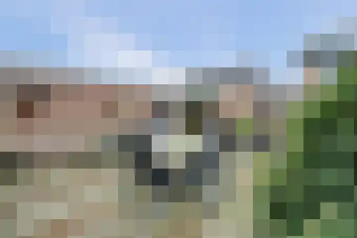 Schrikspad 9 Udenhout thumbnail 37
