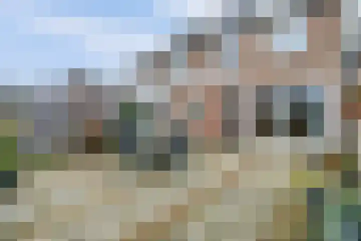 Schrikspad 9 Udenhout thumbnail 38