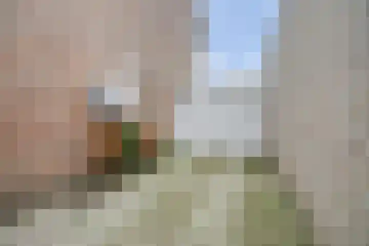Schrikspad 9 Udenhout thumbnail 40