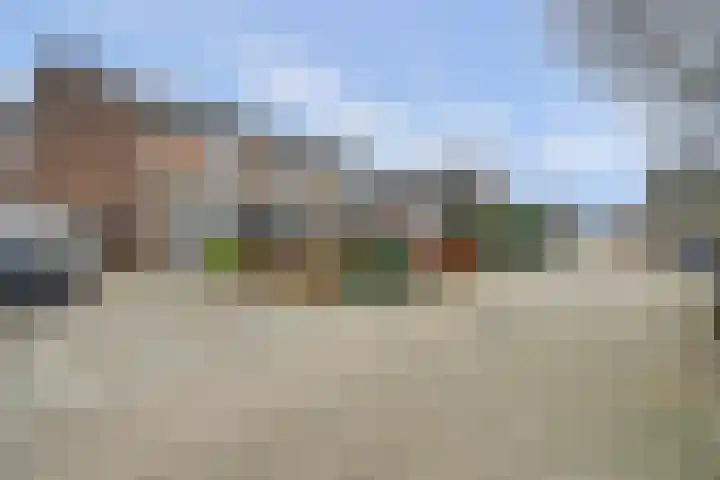 Schrikspad 9 Udenhout thumbnail 41