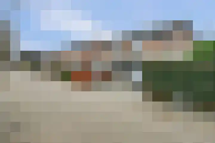 Schrikspad 9 Udenhout thumbnail 42