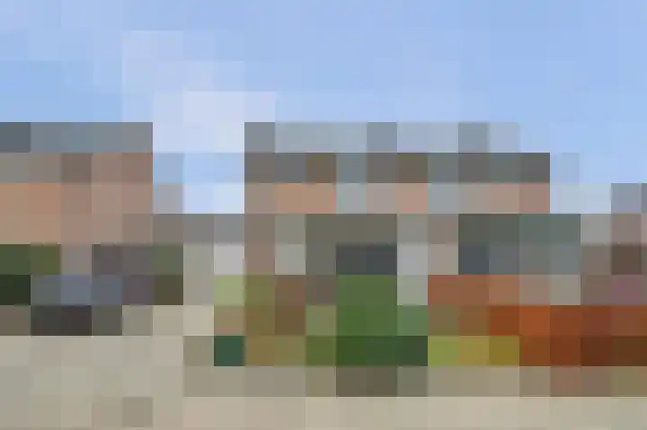 Schrikspad 9 Udenhout thumbnail 6