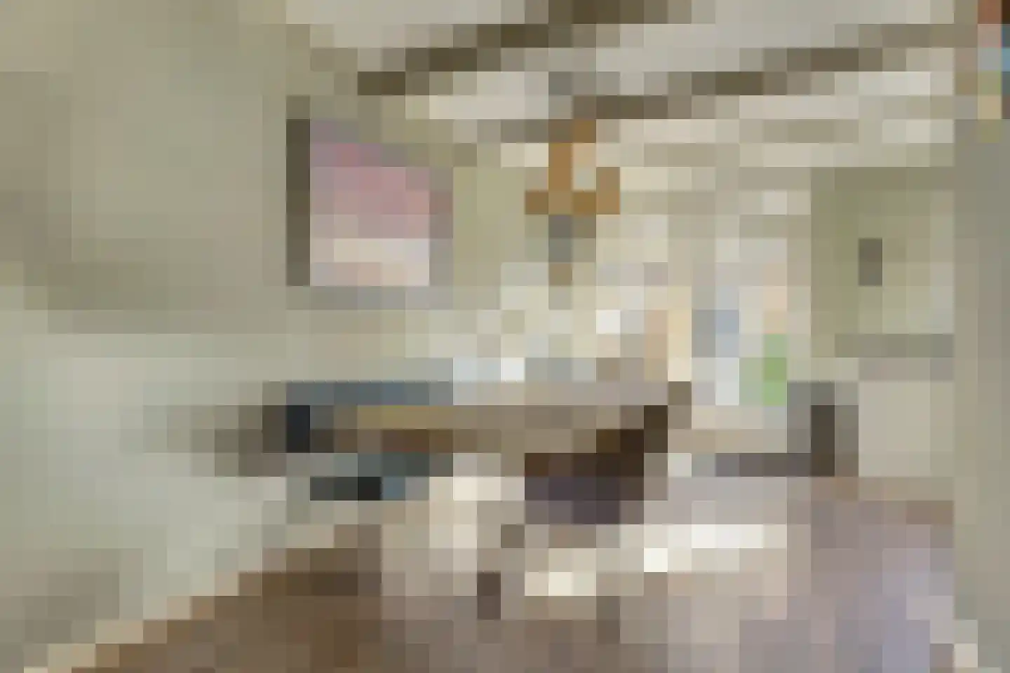 Schritsen 10 Harlingen thumbnail 11