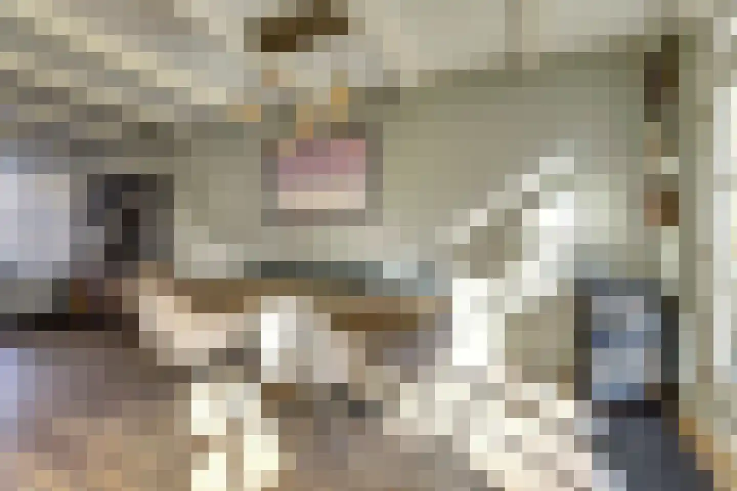 Schritsen 10 Harlingen thumbnail 12