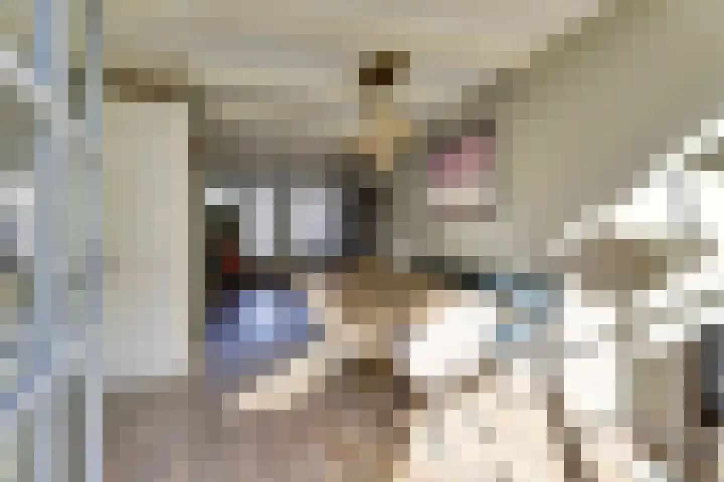 Schritsen 10 Harlingen thumbnail 13
