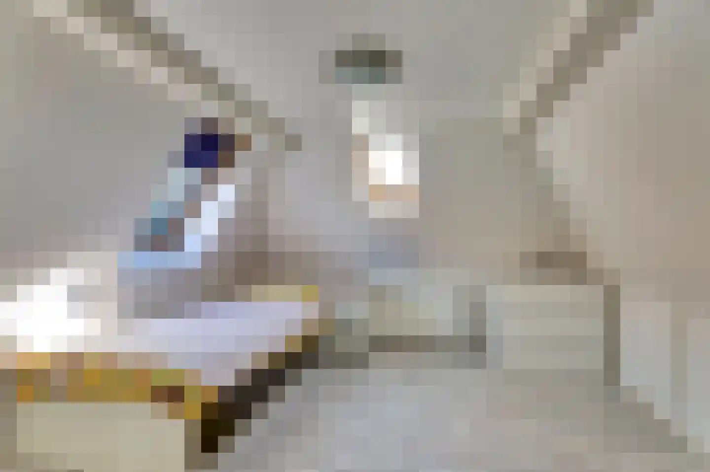 Schritsen 10 Harlingen thumbnail 30