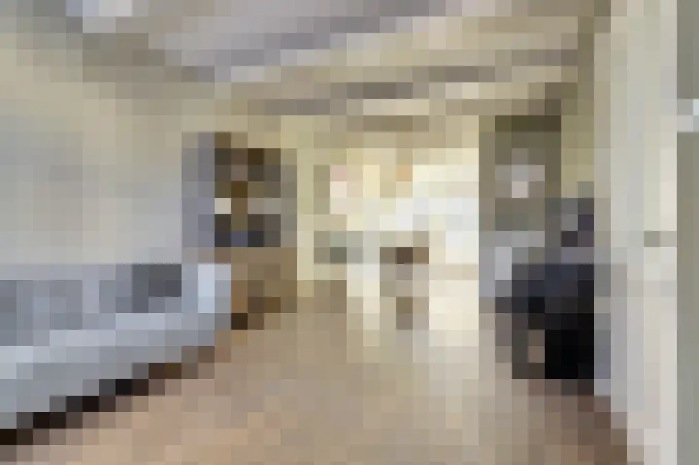 Schritsen 10 Harlingen thumbnail 5