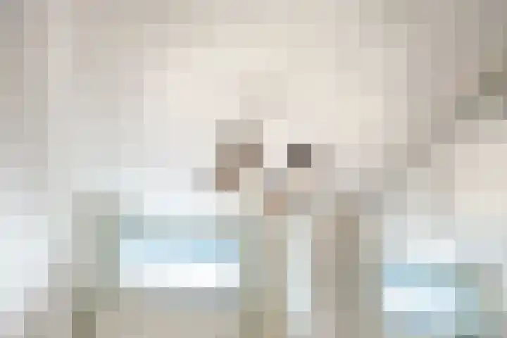Schritsen 15 Harlingen thumbnail 13