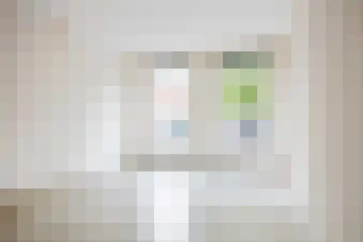 Schritsen 15 Harlingen thumbnail 18