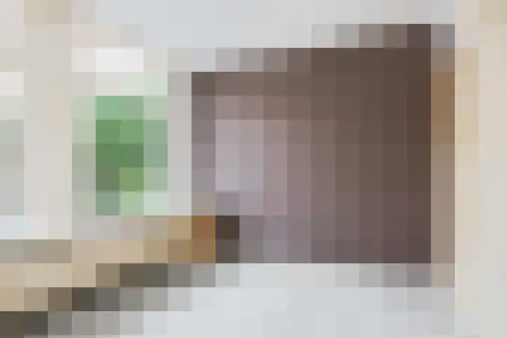 Schritsen 15 Harlingen thumbnail 22