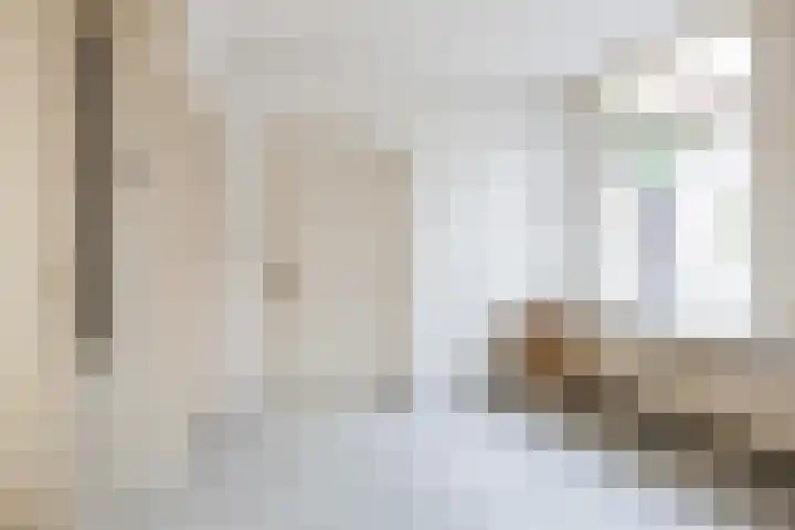 Schritsen 15 Harlingen thumbnail 23