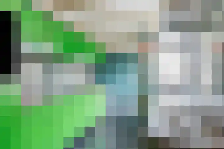 Schritsen 15 Harlingen thumbnail 25