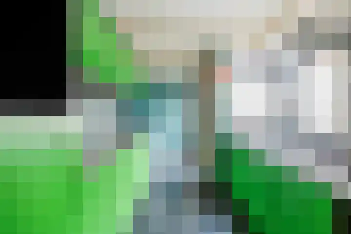 Schritsen 15 Harlingen thumbnail 26