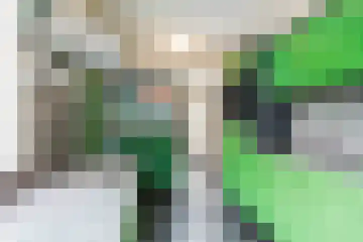 Schritsen 15 Harlingen thumbnail 28