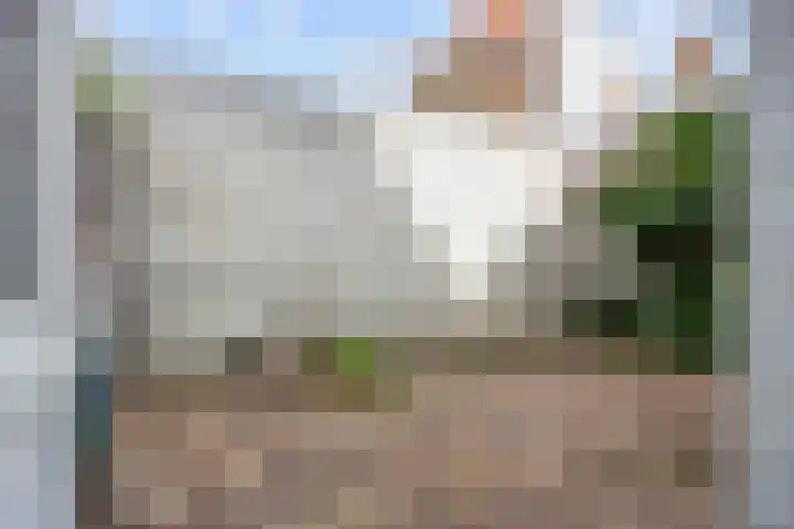 Schritsen 15 Harlingen thumbnail 34