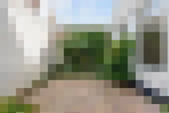 Schritsen 15 Harlingen thumbnail 35