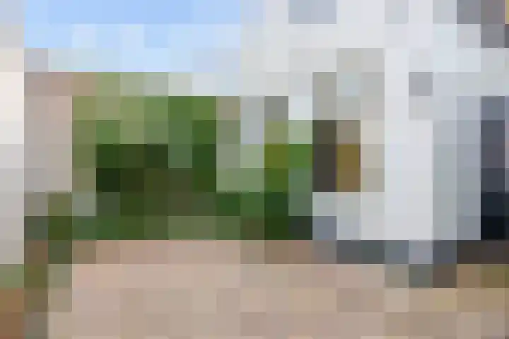 Schritsen 15 Harlingen thumbnail 36
