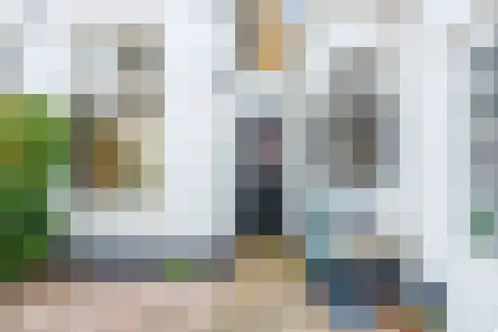 Schritsen 15 Harlingen thumbnail 38
