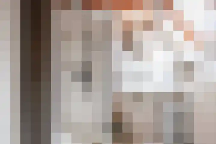 Schritsen 15 Harlingen thumbnail 4