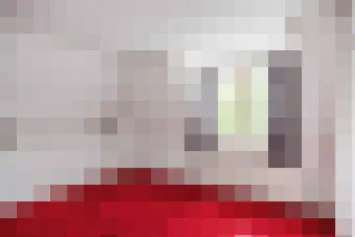 Schritsen 15 Harlingen thumbnail 43