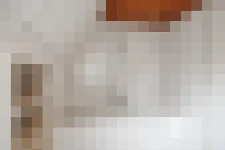 Schritsen 15 Harlingen thumbnail 48