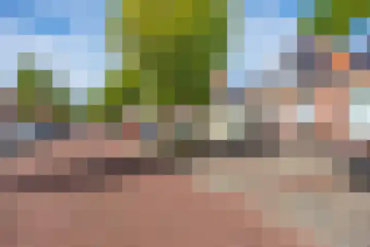 Schritsen 15 Harlingen thumbnail 6