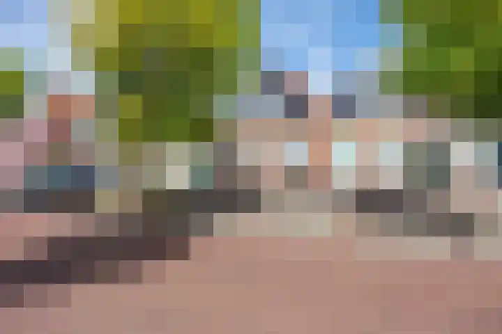Schritsen 15 Harlingen thumbnail 8