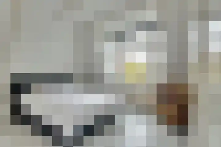 Schritsen 17 Harlingen thumbnail 17