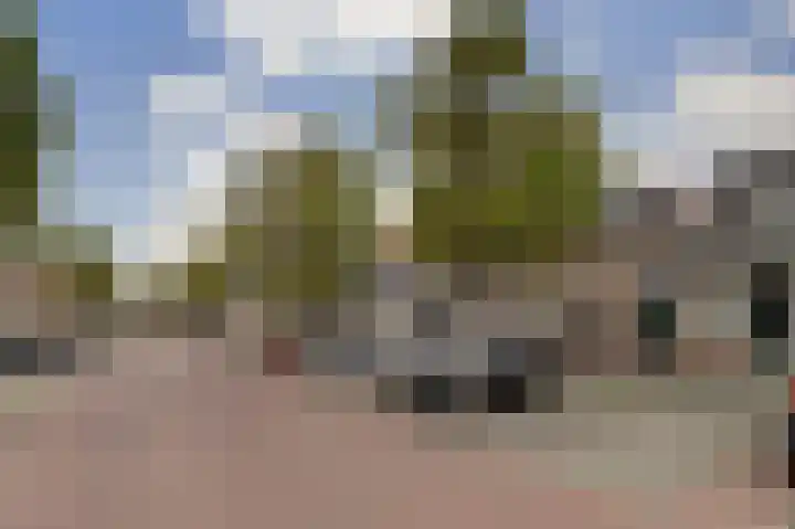 Schritsen 17 Harlingen thumbnail 24