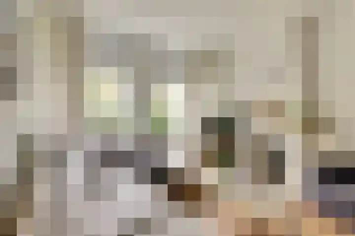 Schritsen 17 Harlingen thumbnail 5