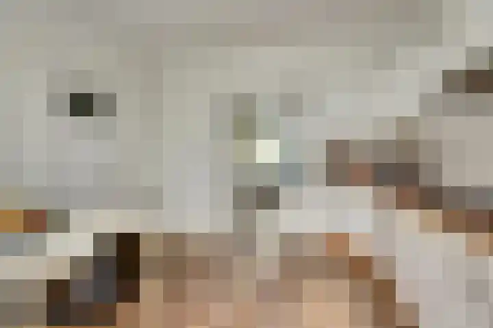 Schritsen 17 Harlingen thumbnail 6