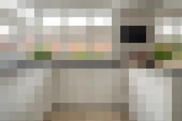 Schritsen 17 Harlingen thumbnail 8