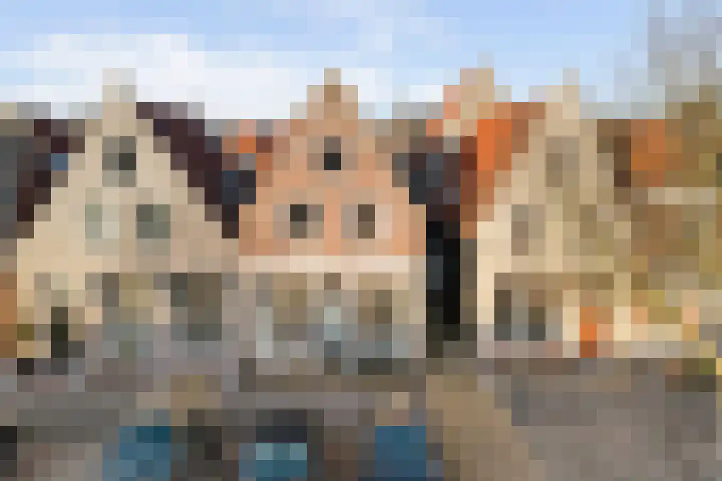 Schritsen 39 Harlingen