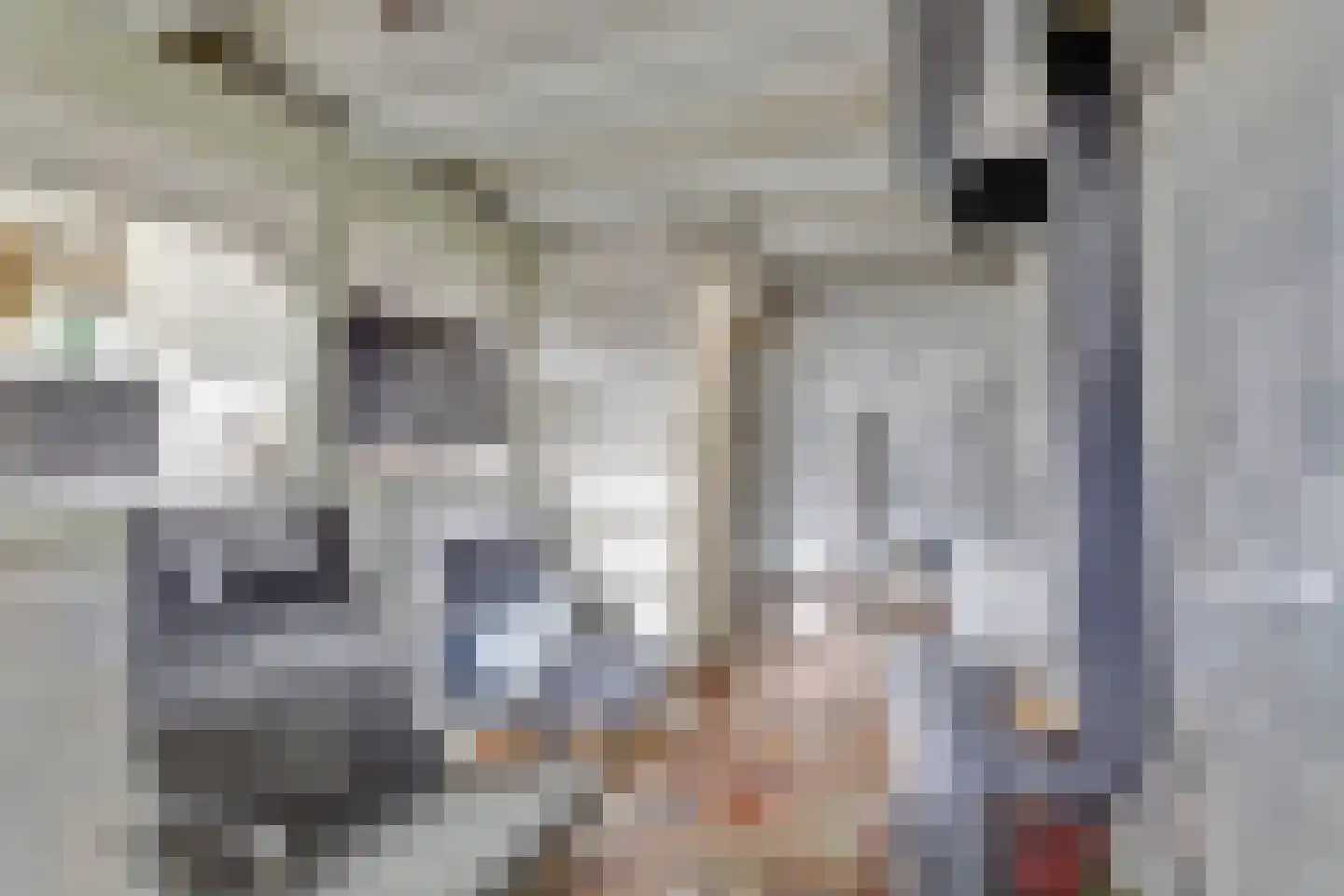 Schritsen 39 Harlingen thumbnail 11
