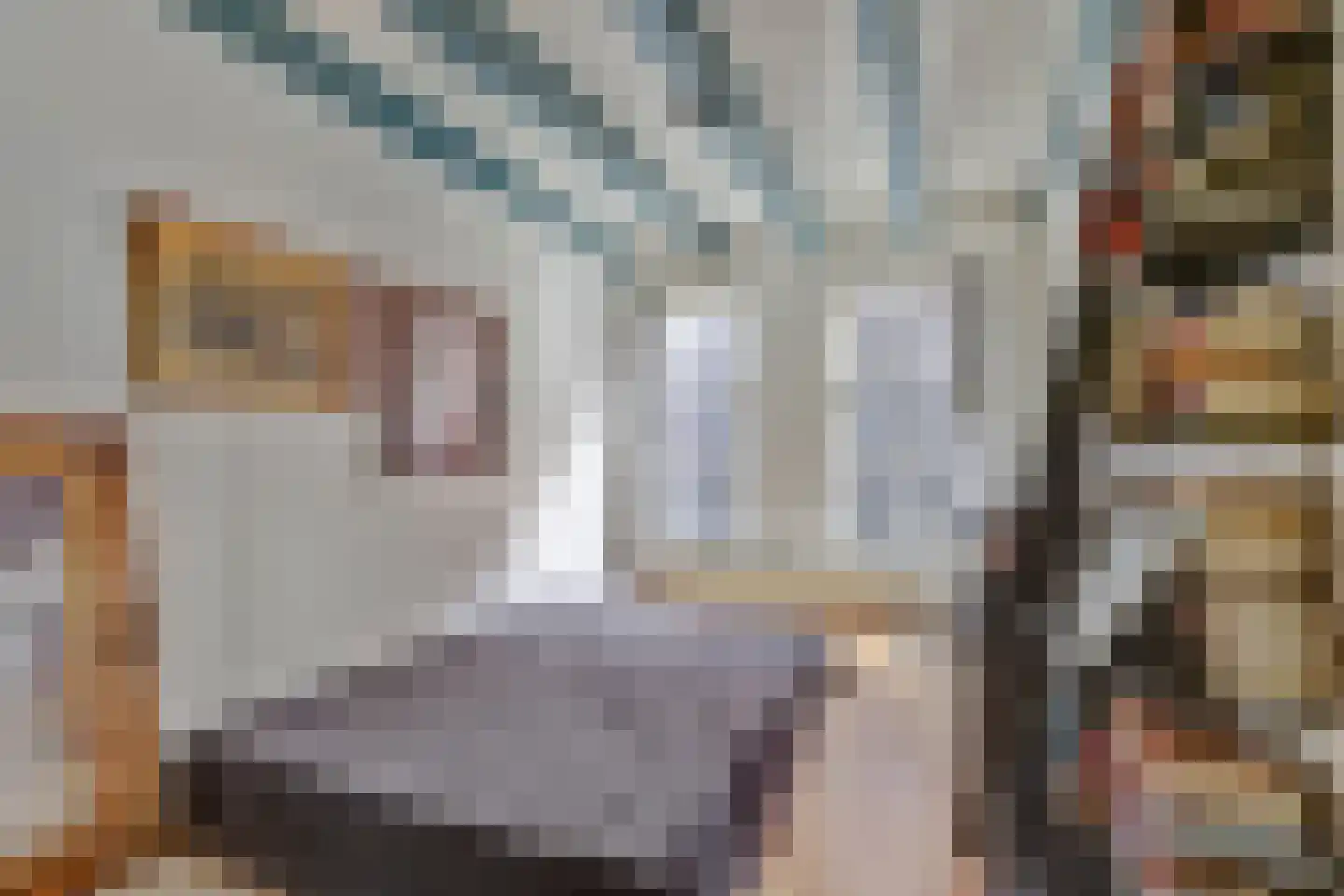 Schritsen 39 Harlingen thumbnail 23
