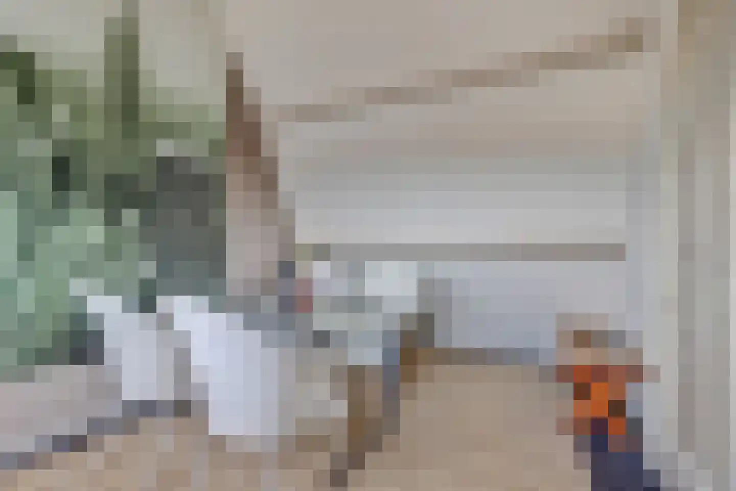 Schritsen 39 Harlingen thumbnail 30