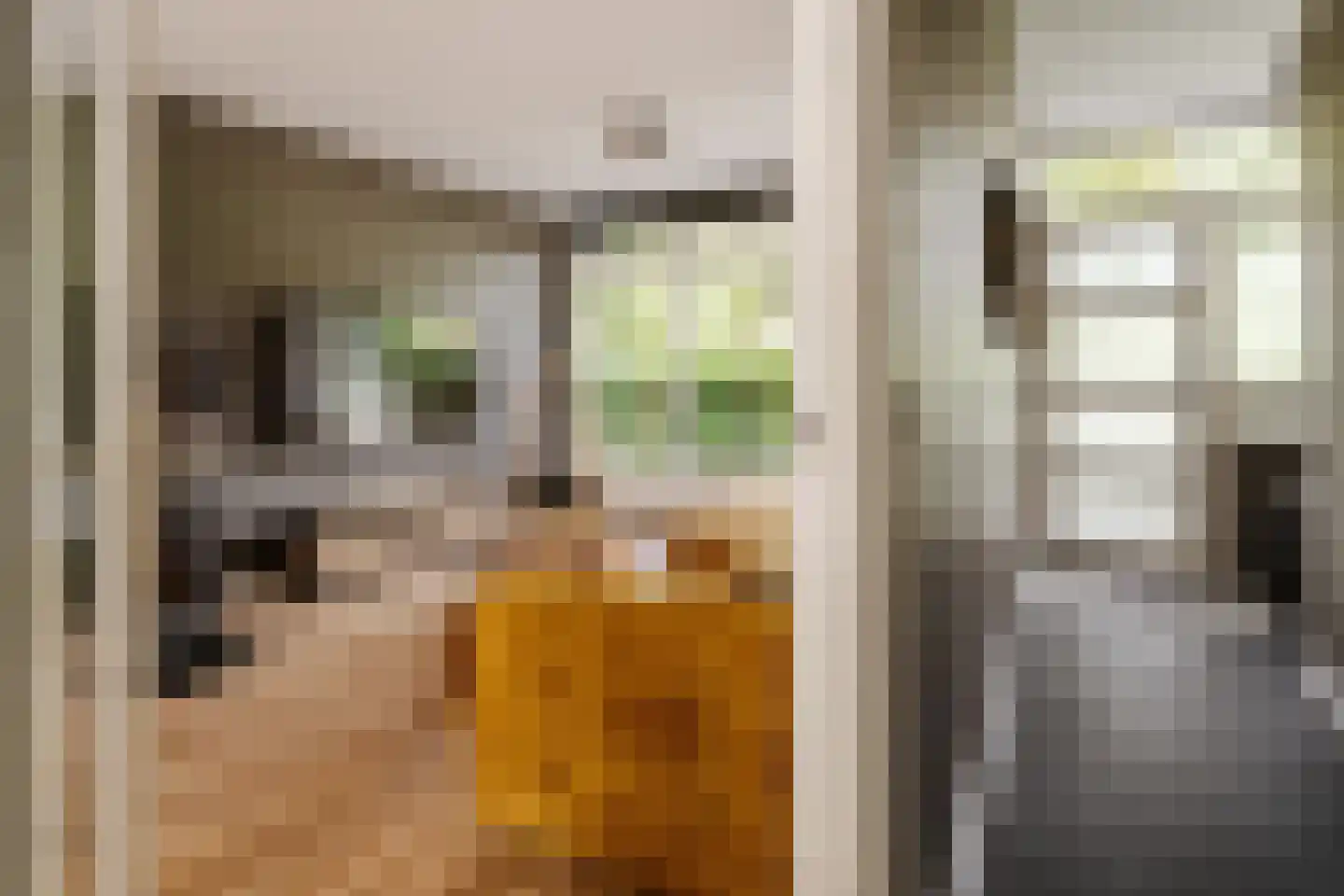 Schroeder van der Kolkstraat 14 Haarlem thumbnail 10