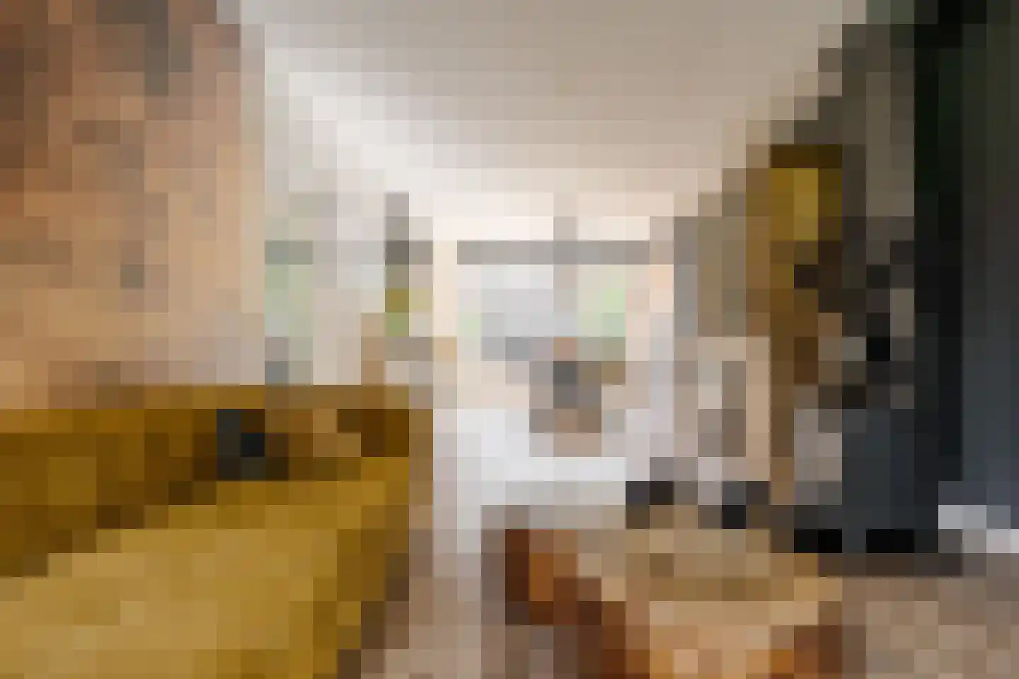 Schroeder van der Kolkstraat 14 Haarlem thumbnail 15
